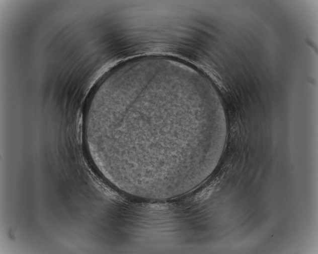 X0000097831126200804041415