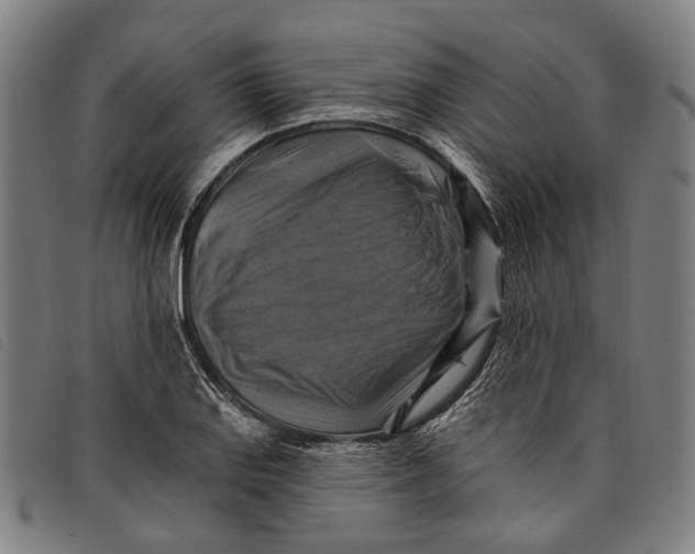 X0000097831127200804041415