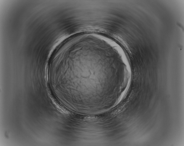 X0000097831128200804041415