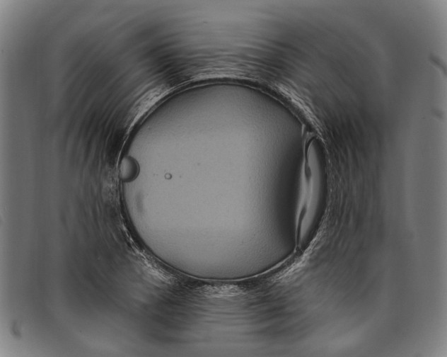 X0000097831129200804041415