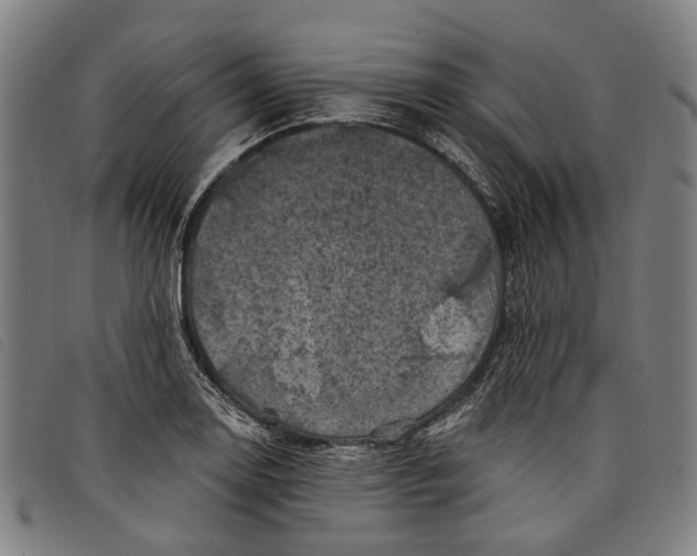 X0000097831130200804041415