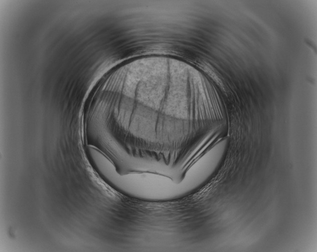 X0000097831132200804041415