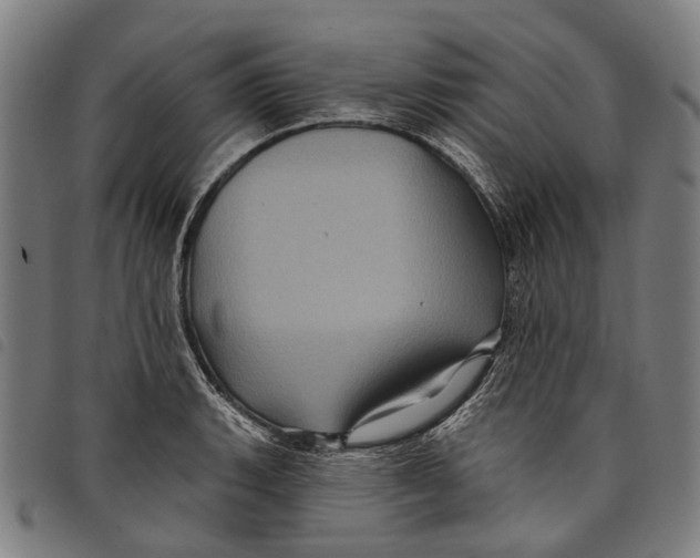 X0000097831135200804041415