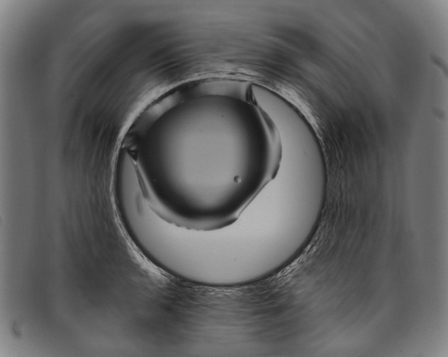 X0000097831136200804041415