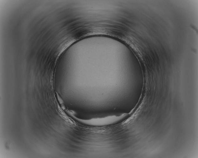 X0000097831137200804041415