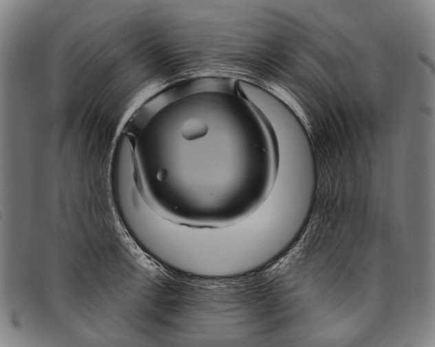 X0000097831138200804041415