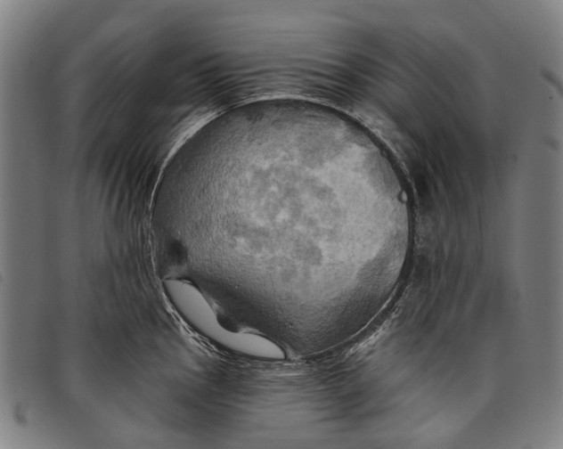 X0000097831145200804041415