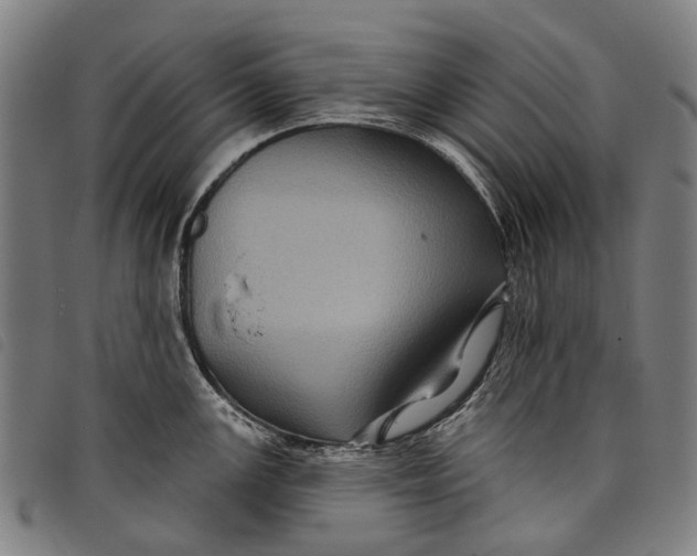 X0000097831147200804041415