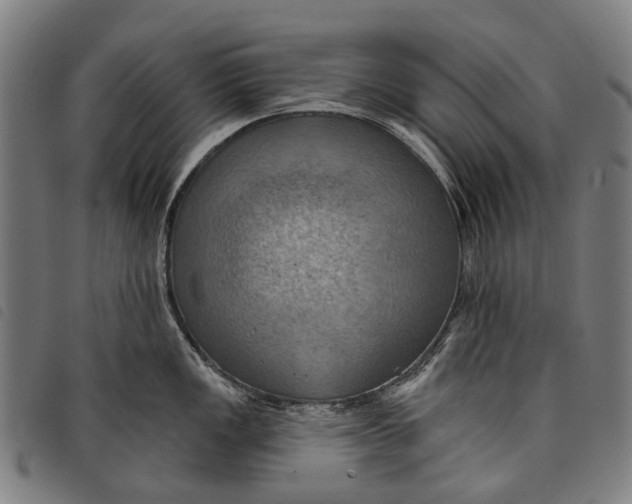 X0000097831149200804041415