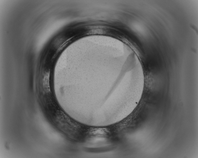 X0000097831150200804041415