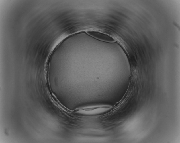 X0000097831151200804041416