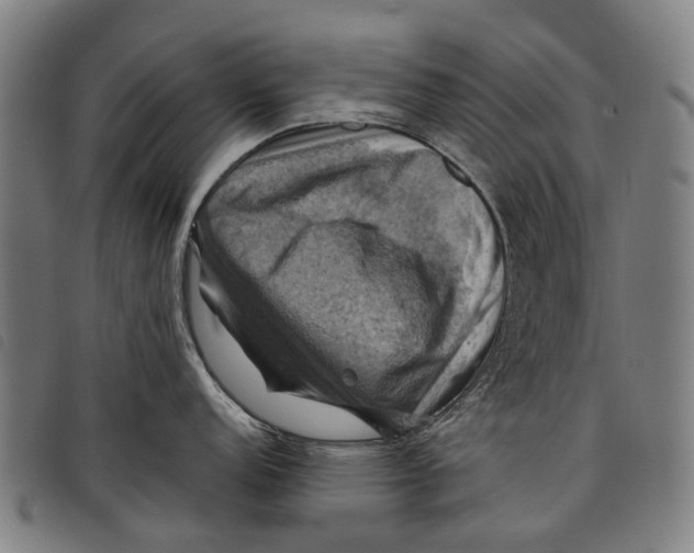 X0000097831152200804041416