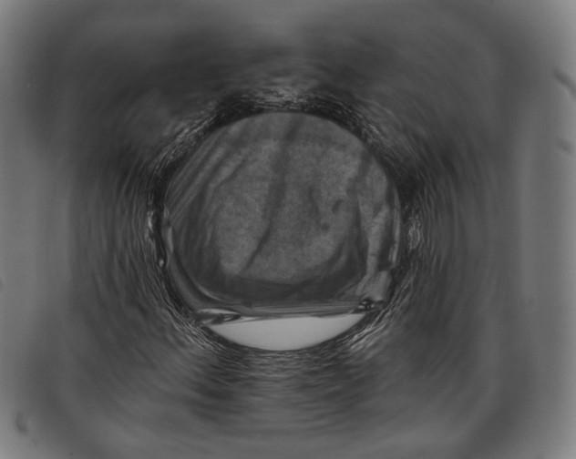 X0000097831156200804041415