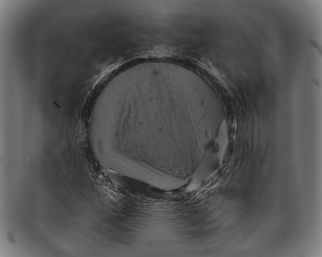 X0000097831160200804041415