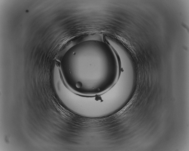 X0000097831161200804041415