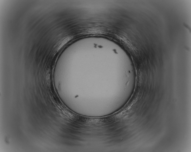 X0000097831162200804041415