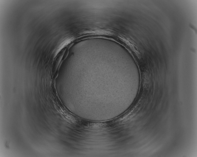 X0000097831163200804041415