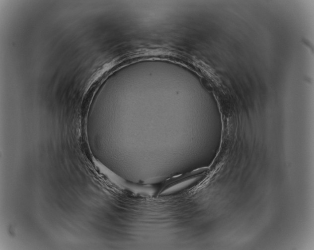 X0000097831165200804041415