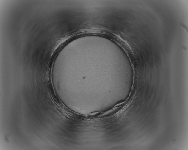 X0000097831166200804041415