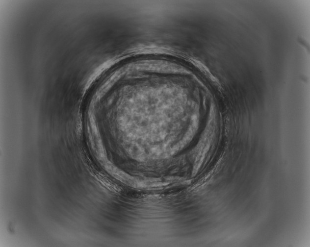 X0000097831167200804041415