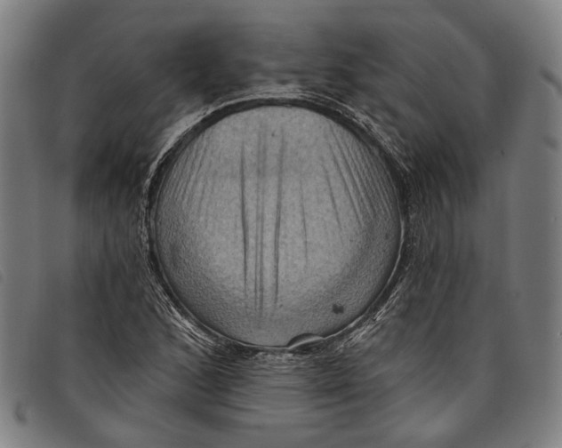 X0000097831168200804041415