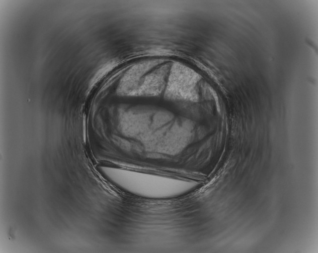 X0000097831171200804041415