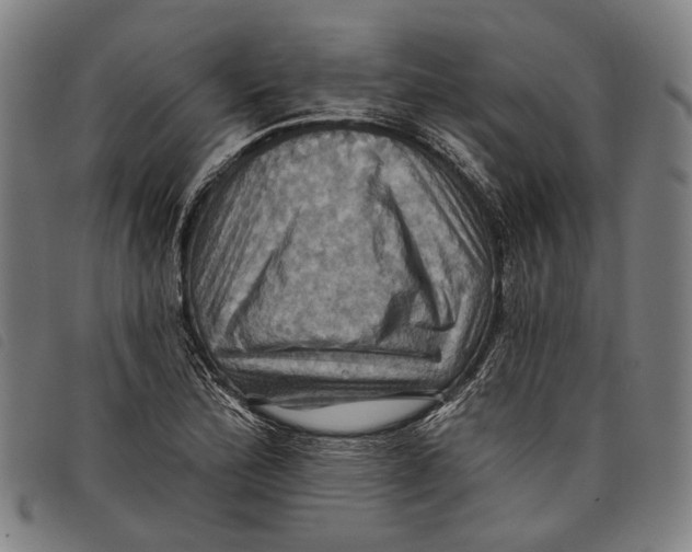 X0000097831172200804041415