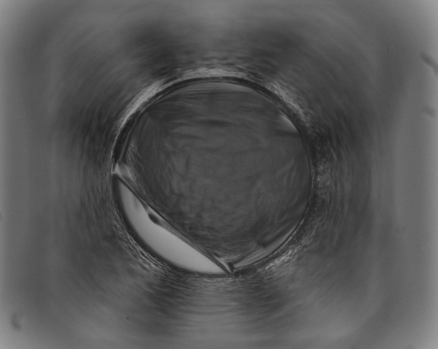 X0000097831173200804041415