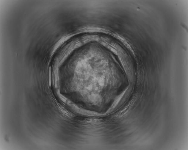 X0000097831175200804041415