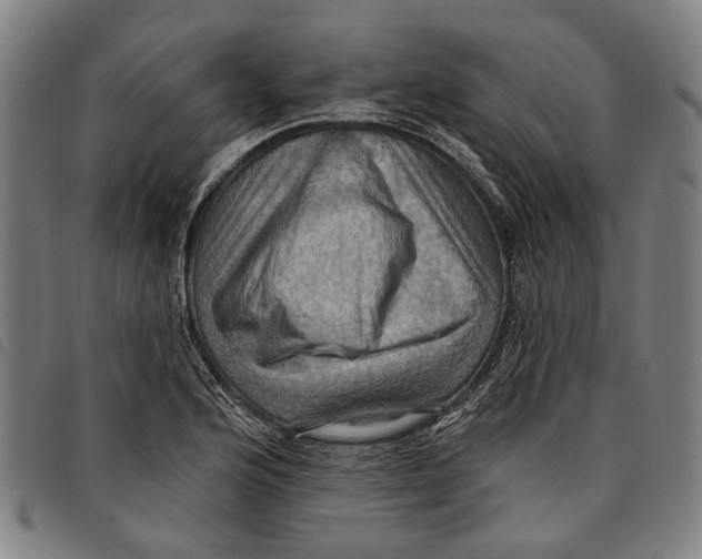 X0000097831176200804041415