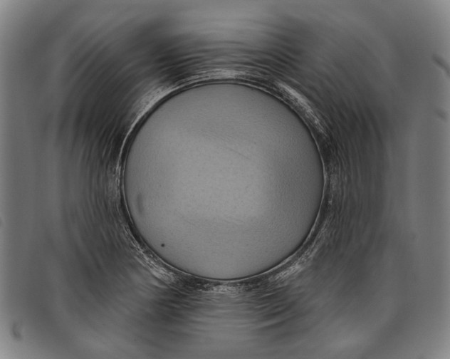 X0000097831178200804041415