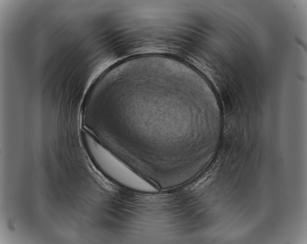 X0000097831179200804041414