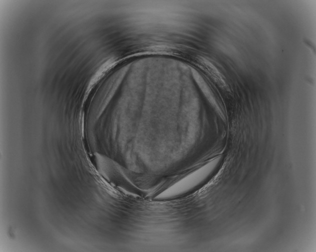 X0000097831180200804041414