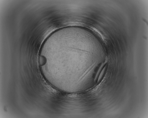 X0000097831182200804041414