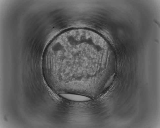 X0000097831183200804041414