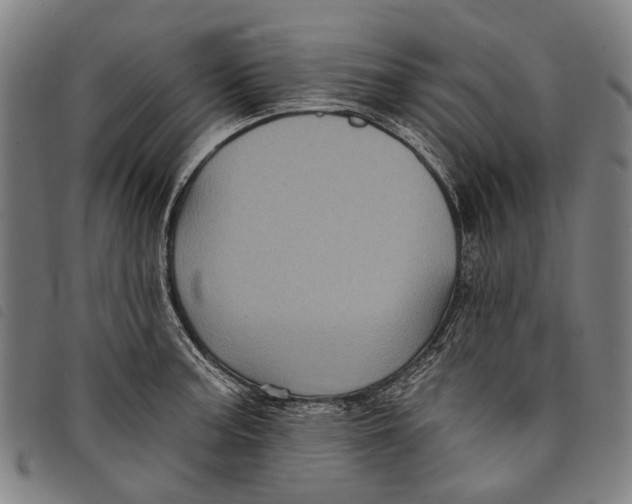 X0000097831187200804041414