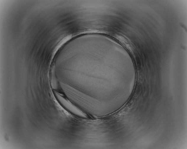 X0000097831189200804041414