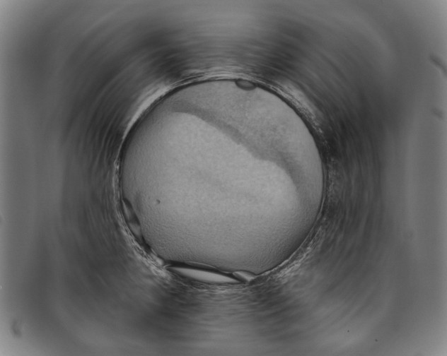 X0000097831190200804041414