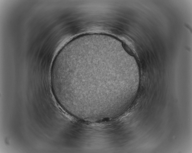 X0000097831191200804041414