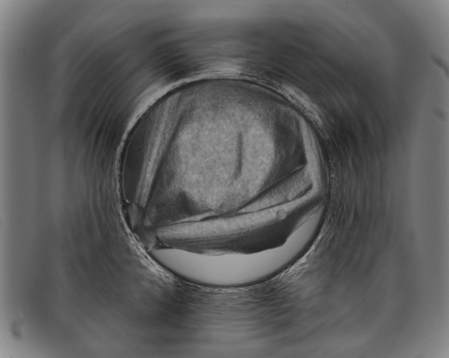 X0000097831192200804041414