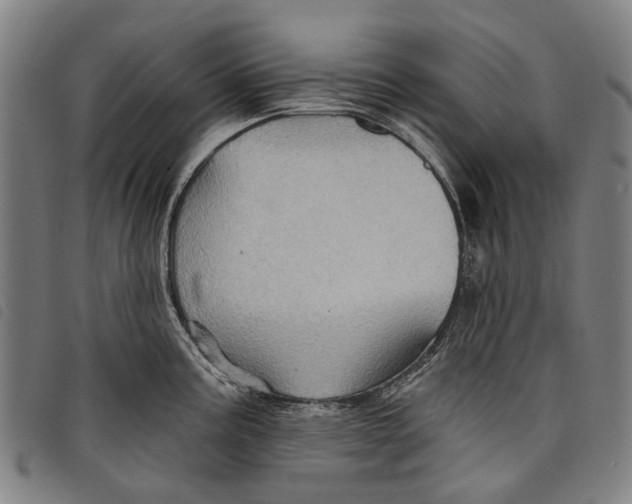 X0000097831195200804041414