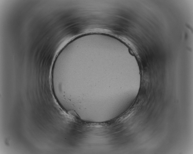 X0000097831199200804041414