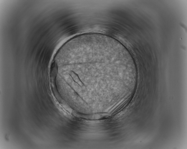 X0000097831200200804041414