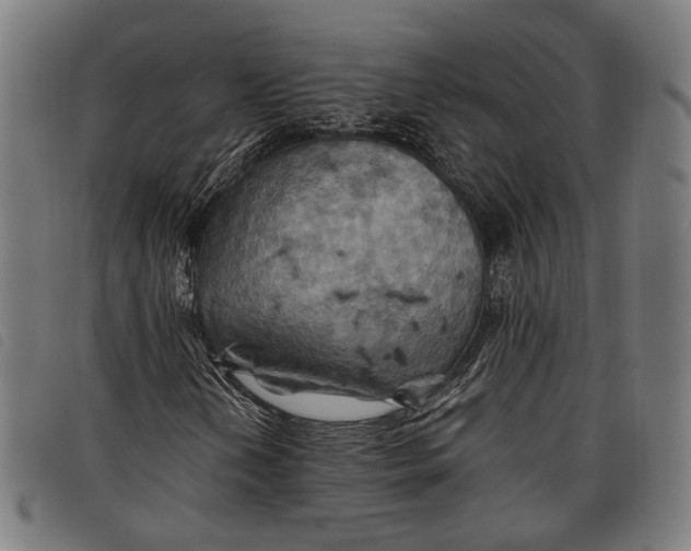 X0000097831202200804041414