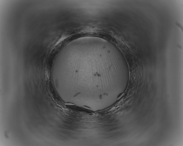 X0000097831206200804041414