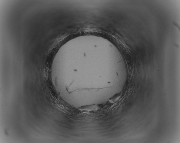 X0000097831207200804041414