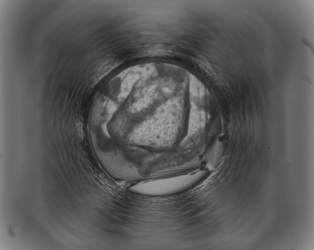 X0000097831209200804041414