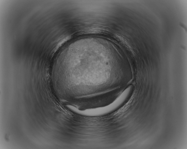 X0000097831210200804041414