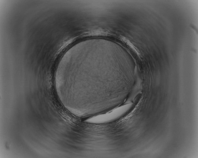 X0000097831213200804041414