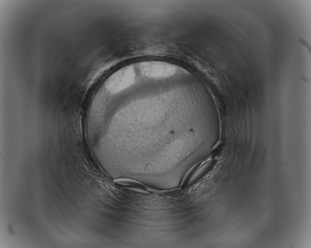 X0000097831214200804041414